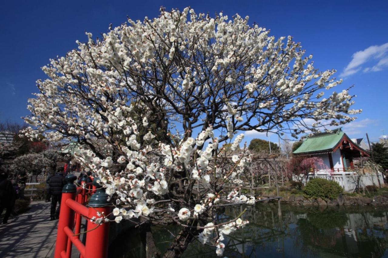 도쿄 スポルト東京 아파트 외부 사진